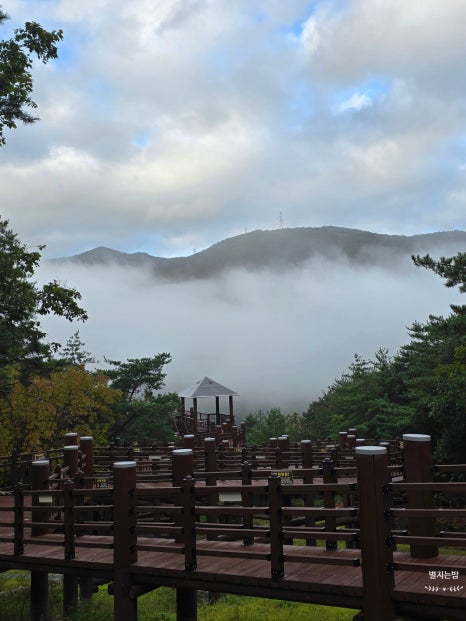 갤러리하우스펜션 이미지