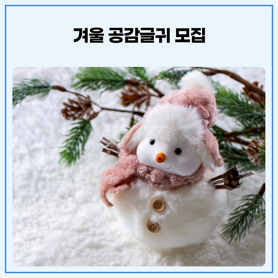 브로콜리 지역정보 관련 사진 3