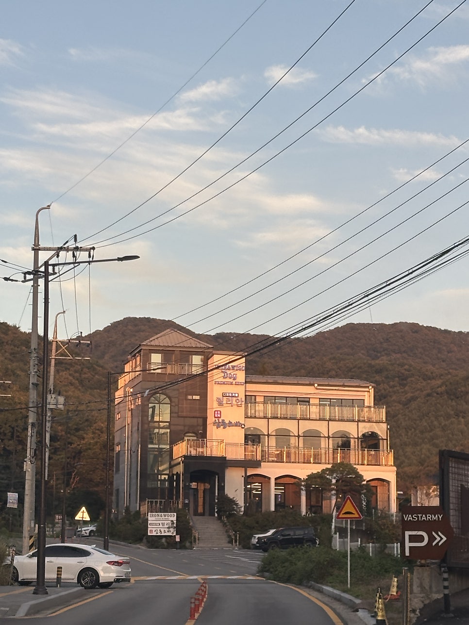 동탄 아이언앤우드: 논스톱도그웨어 하네스·신발 시착 전문점 — 사진 4