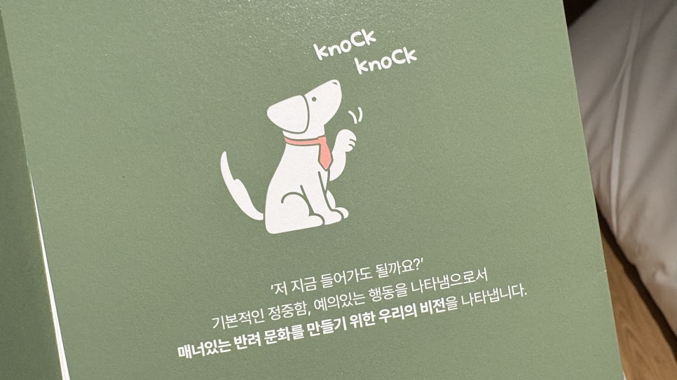 경주 키녹호텔 강아지 호캉스 1박 18만 9천원 — 사진 6