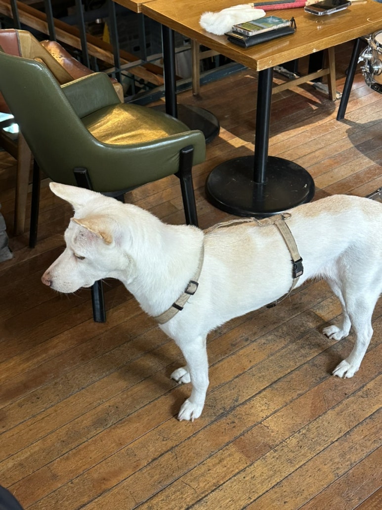 예천연탄 이미지