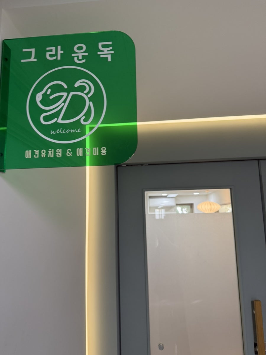 영등포 강아지 미용, 스트레스 없는 1:1 맞춤 케어 후기 — 사진 3