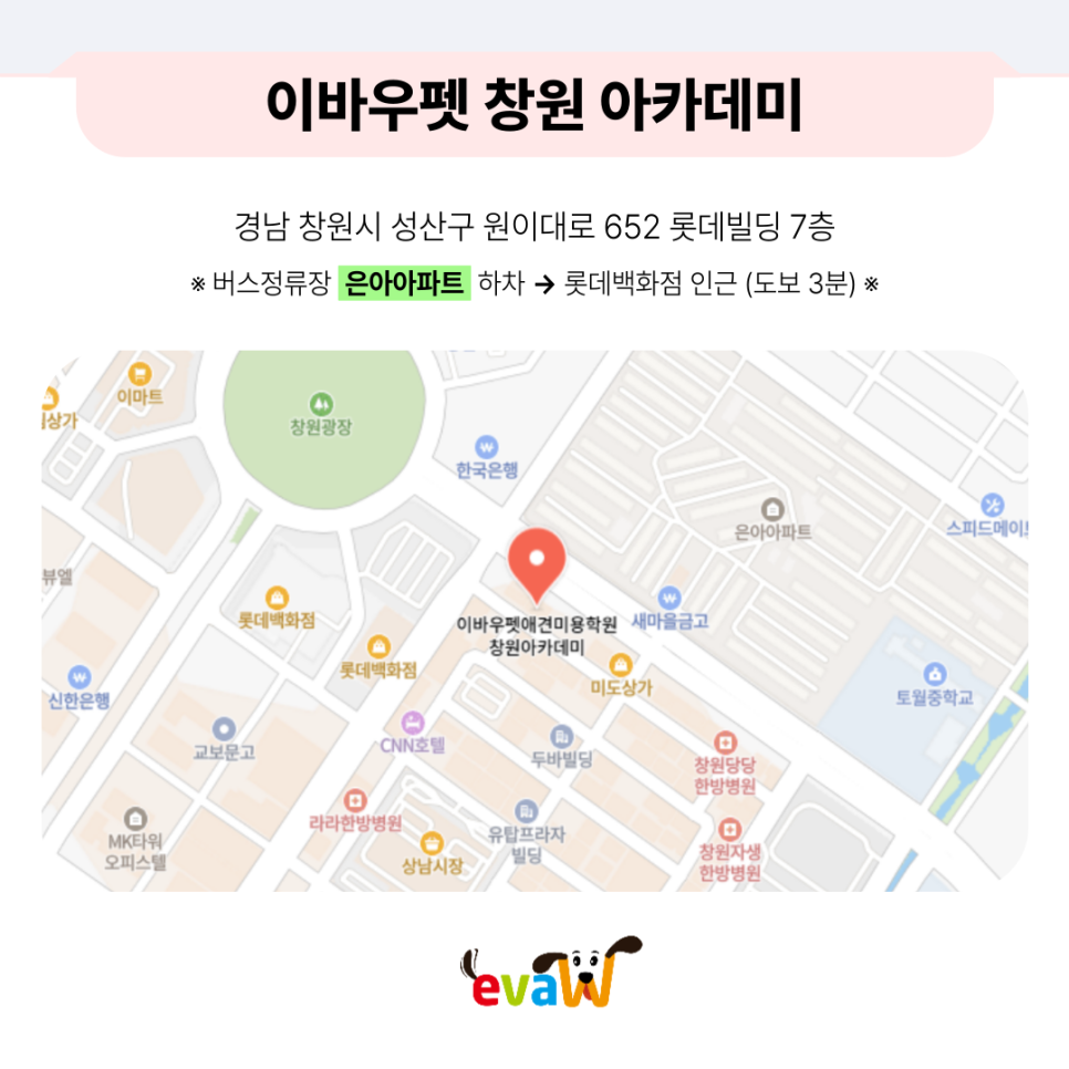창원 애견미용학원, 3개월 자격증 취득 및 수강료 50% 지원 — 사진 15