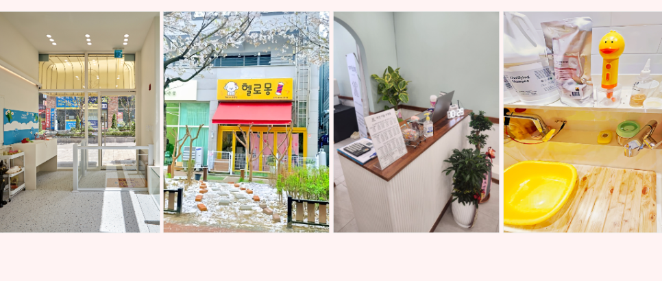 창원 애견미용학원, 3개월 자격증 취득 및 수강료 50% 지원 — 사진 12