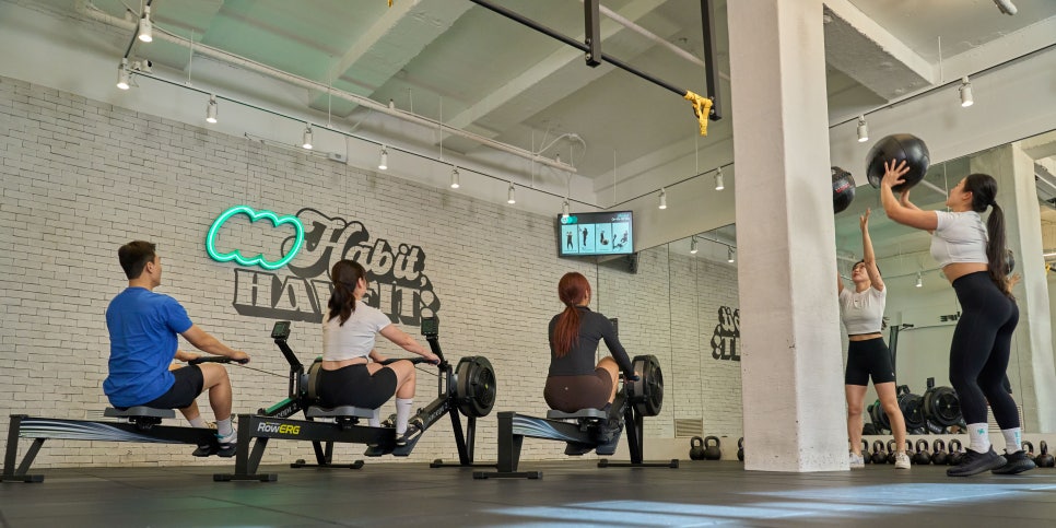 브로콜리 지역정보 관련 사진 7