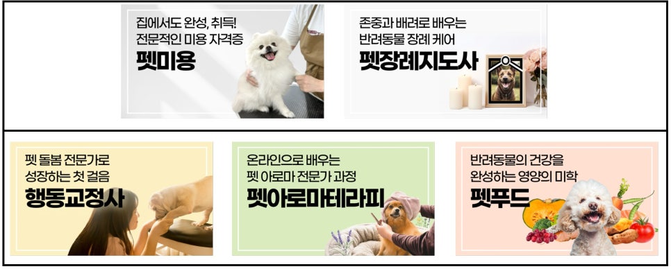 창원 애견미용학원, 3개월 자격증 취득 및 수강료 50% 지원 — 사진 11