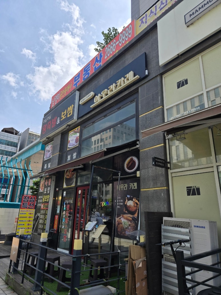 아우라카레 사진 6