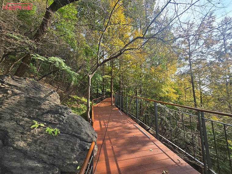 브로콜리 지역정보 관련 사진 7