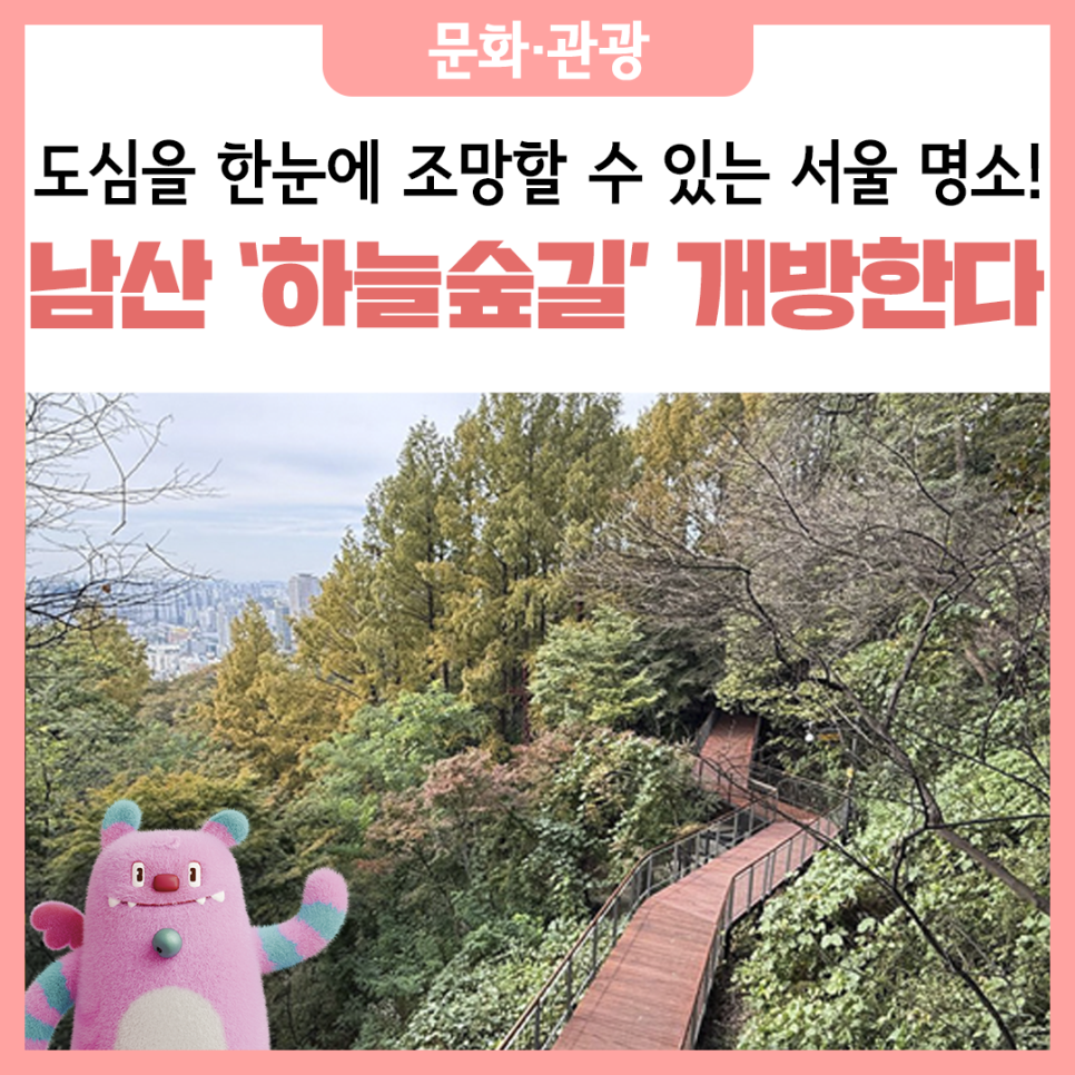 브로콜리 지역정보 관련 사진 10