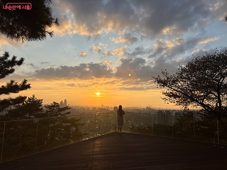 브로콜리 지역정보 관련 사진 3