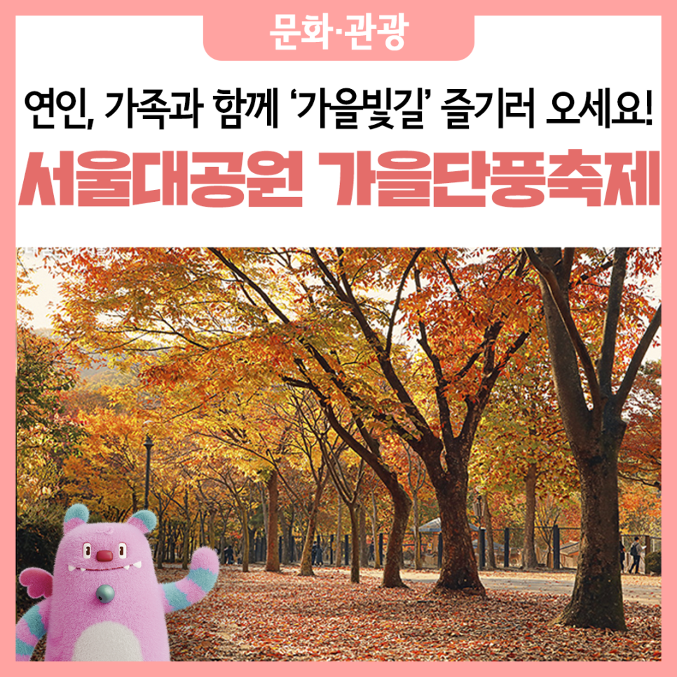 브로콜리 지역정보 관련 사진 7