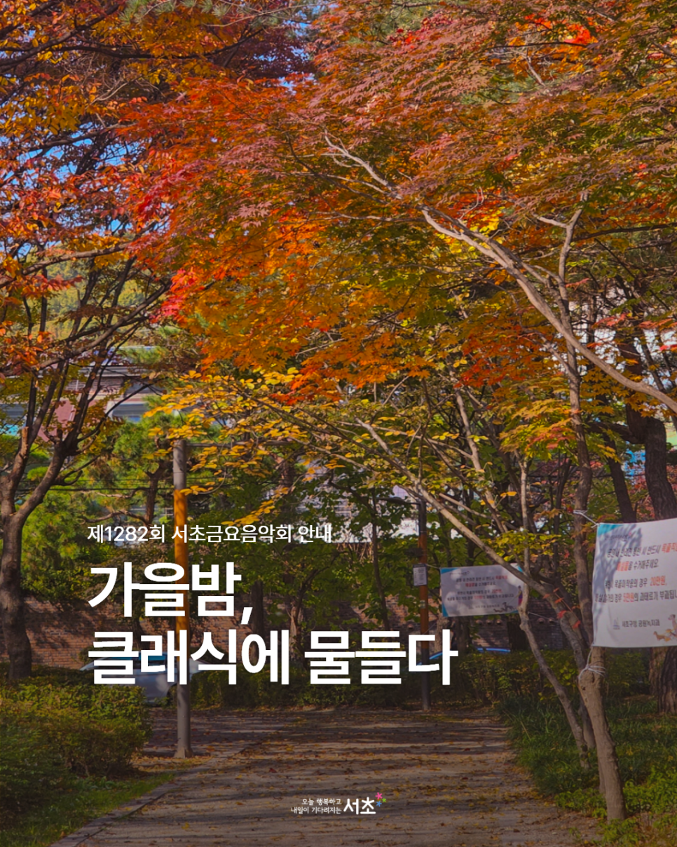 브로콜리 지역정보 관련 사진 1