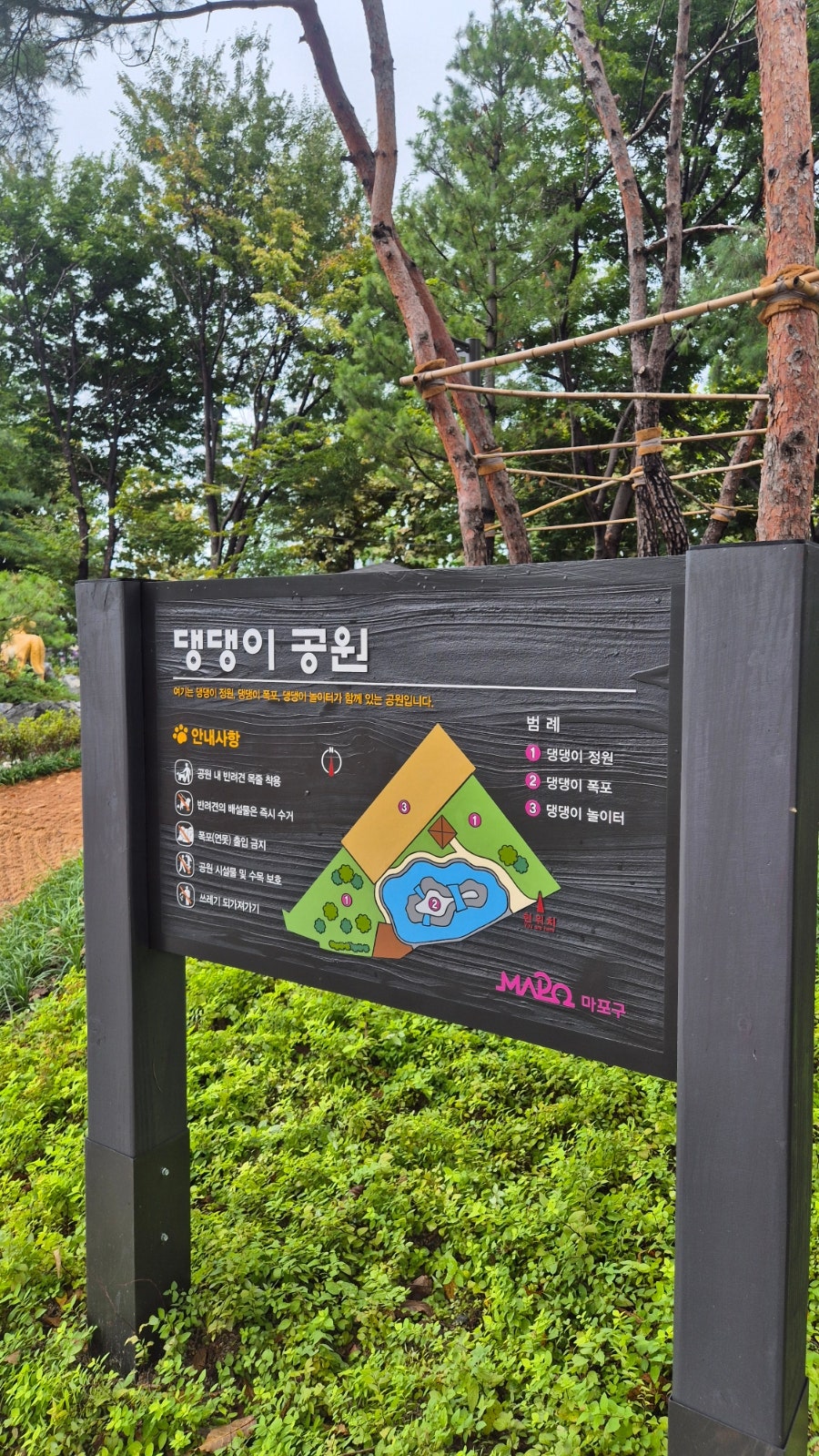 서울 마포구 댕댕이공원: 강아지 놀이터 이용 후기 — 사진 15