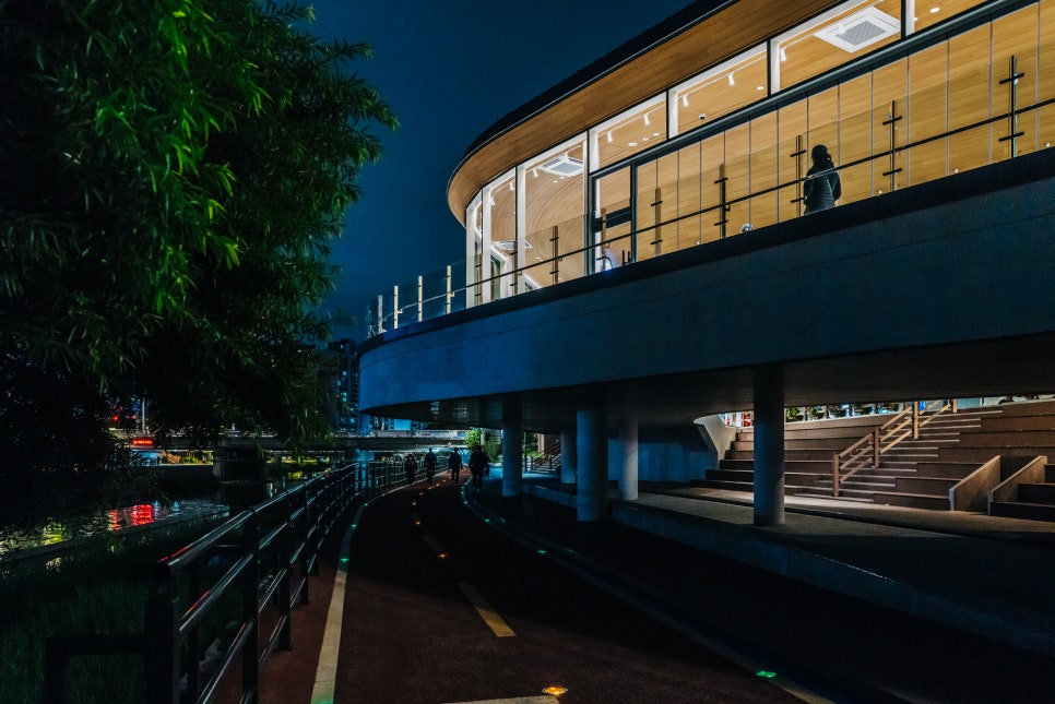 브로콜리 지역정보 관련 사진 9