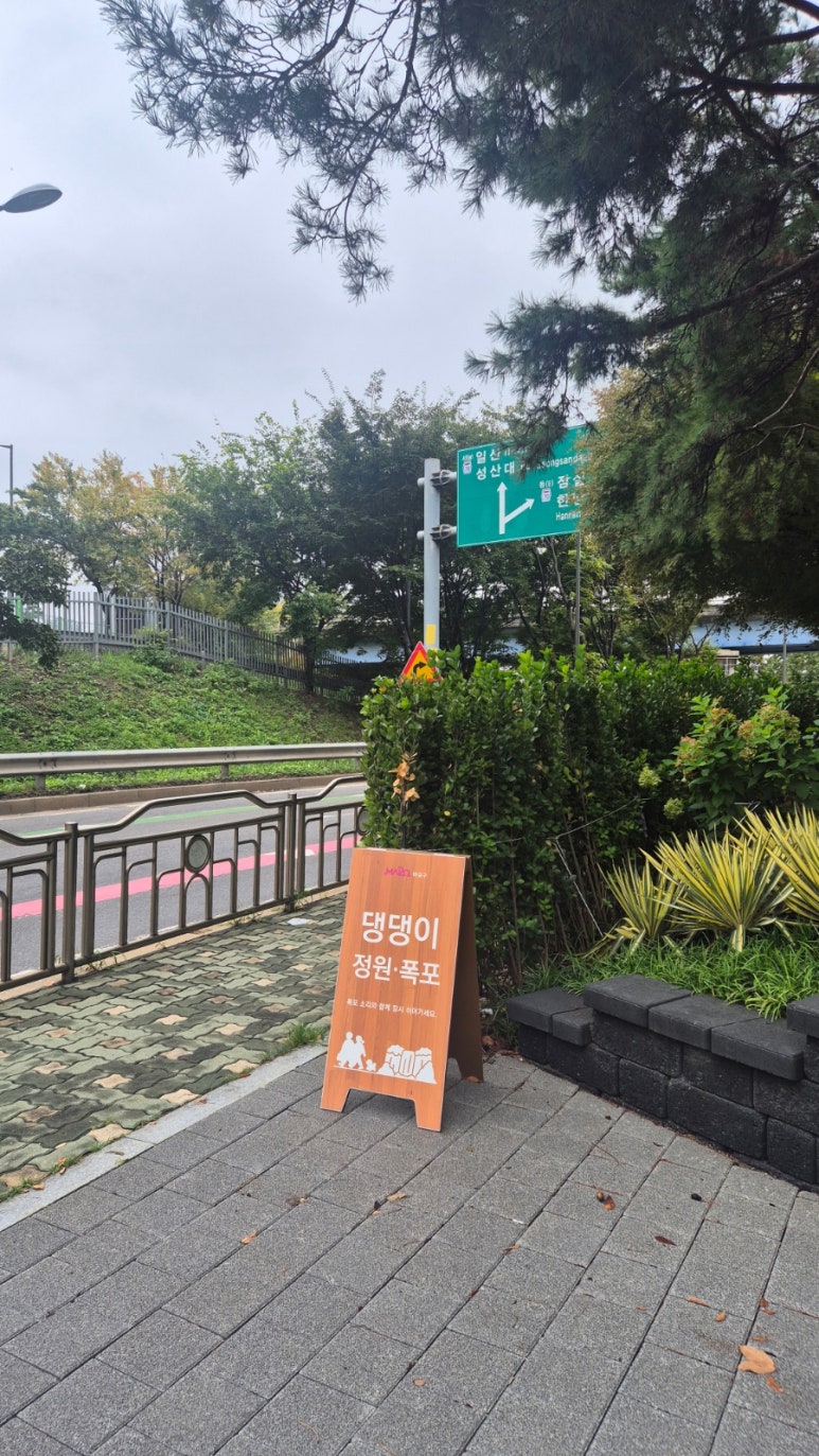 강아지 서울 마포구 댕댕이공원: 강아지 놀이터 이용 후기