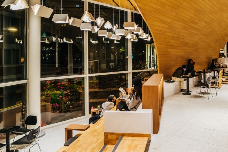 브로콜리 지역정보 관련 사진 13