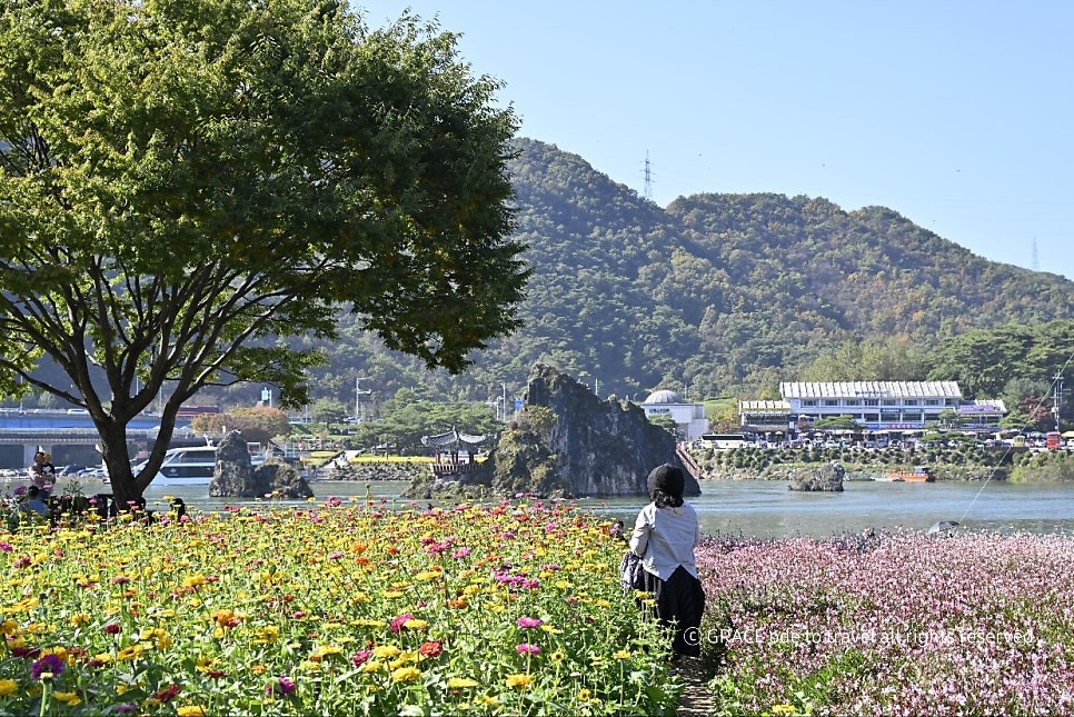 도담정원 이미지