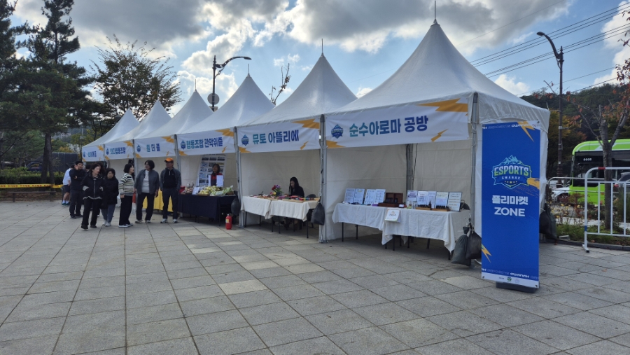 브로콜리 지역정보 관련 사진 4