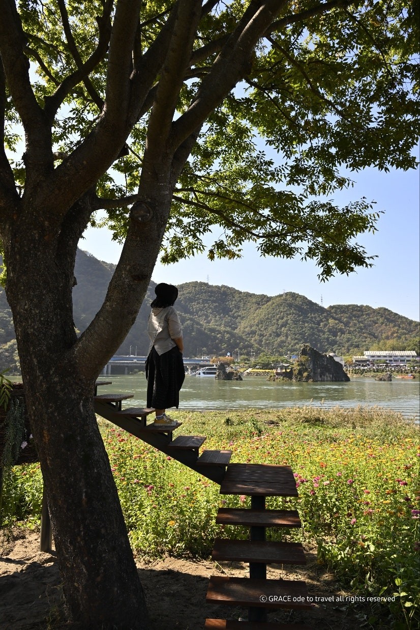 도담정원 이미지