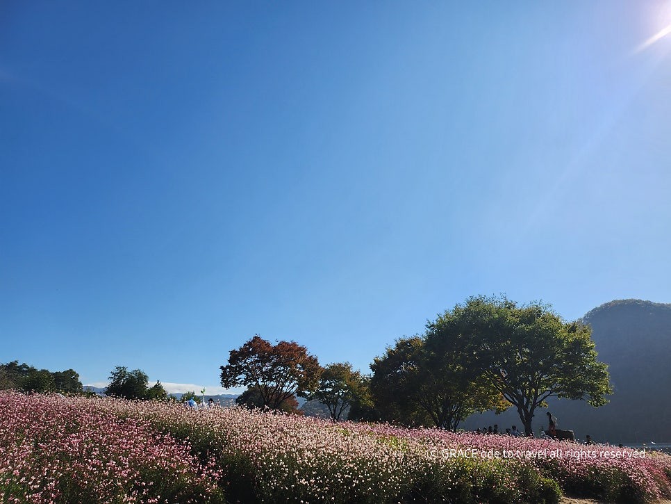 도담정원 이미지