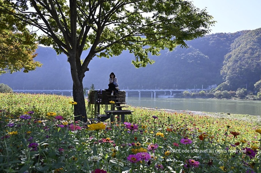 도담정원 이미지