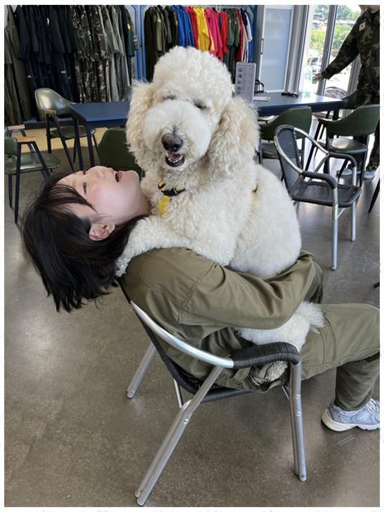 스카이패러 이미지