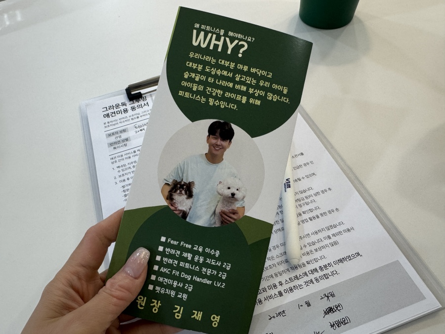 당산역 애견미용 그라운독 스파 후기, 1시간 코스 — 사진 8