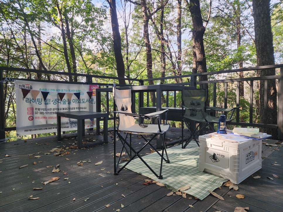 브로콜리 지역정보 관련 사진 13