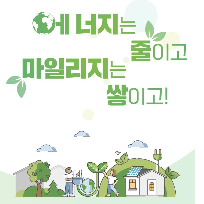 브로콜리 지역정보 관련 사진 4