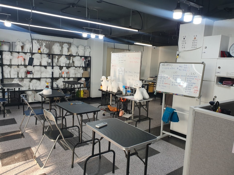 수원 애견미용학원 국비지원 수강료 후기 — 사진 2