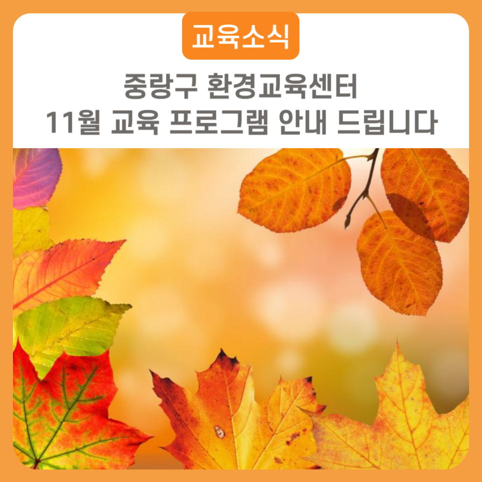 브로콜리 지역정보 관련 사진 2