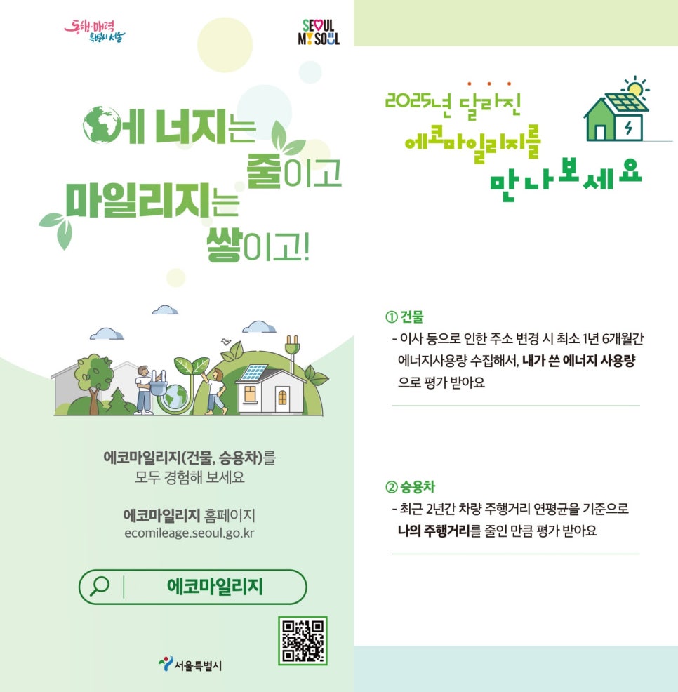 브로콜리 지역정보 관련 사진 1