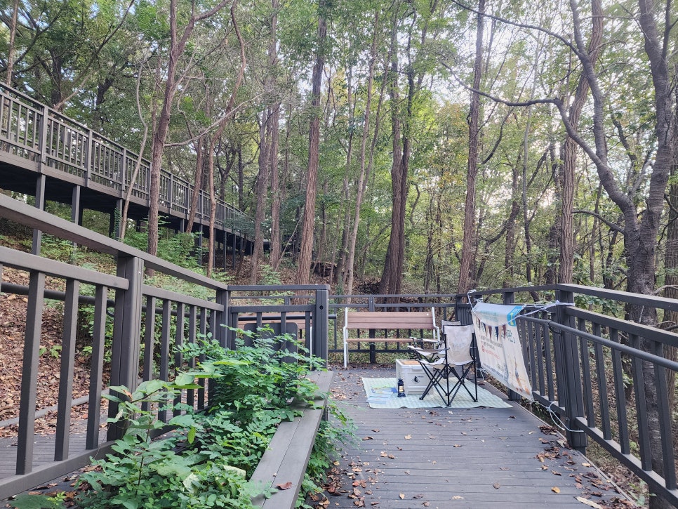 브로콜리 지역정보 관련 사진 5