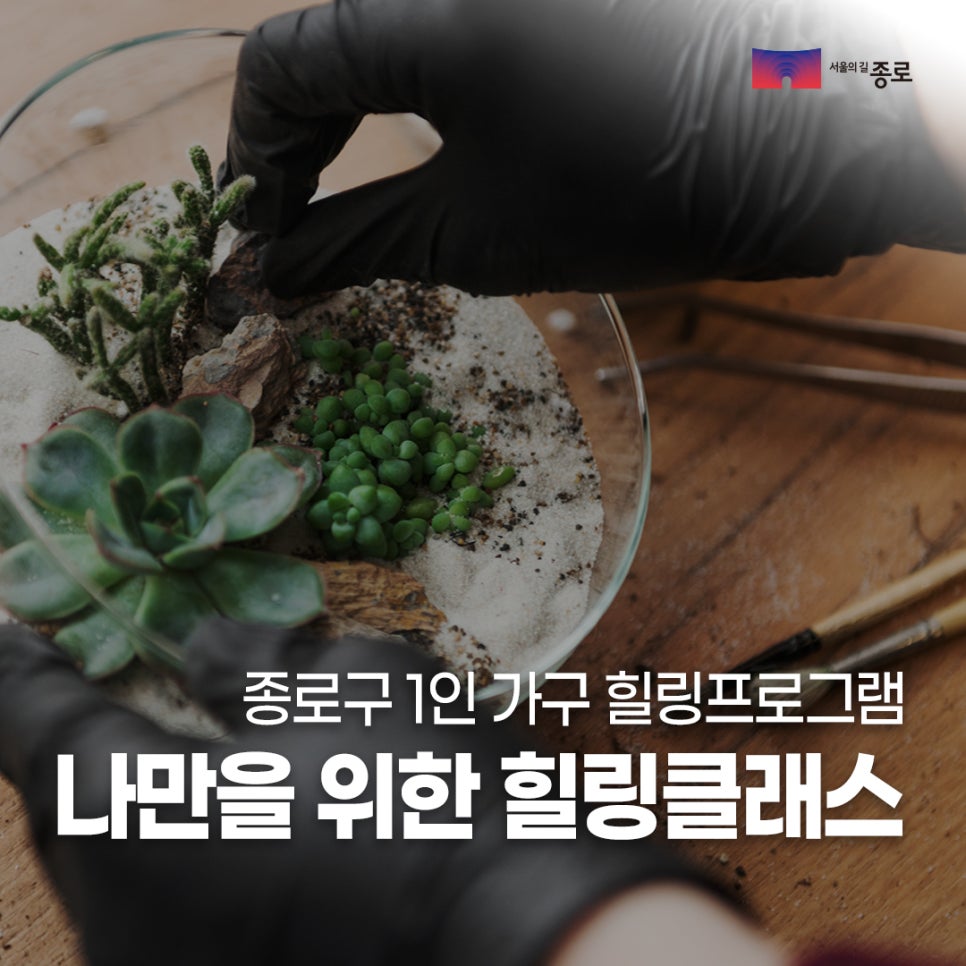 브로콜리 지역정보 관련 사진 1