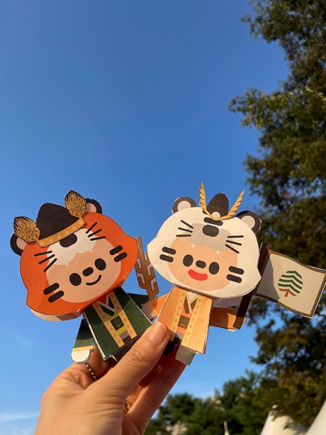 브로콜리 지역정보 관련 사진 5