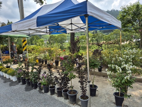 덕산전통시장 이미지