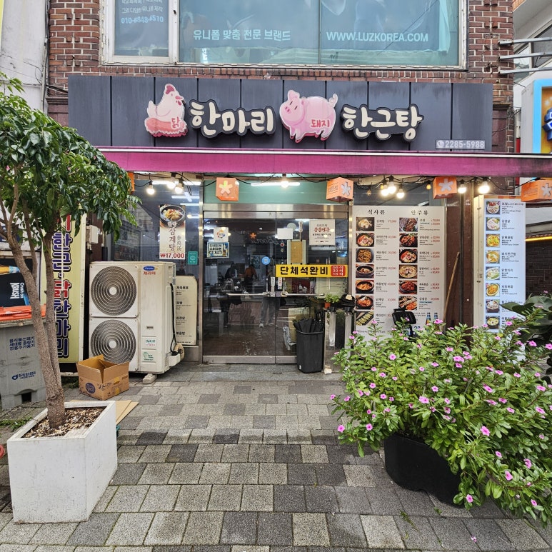 닭한마리돼지한근탕 사진 6