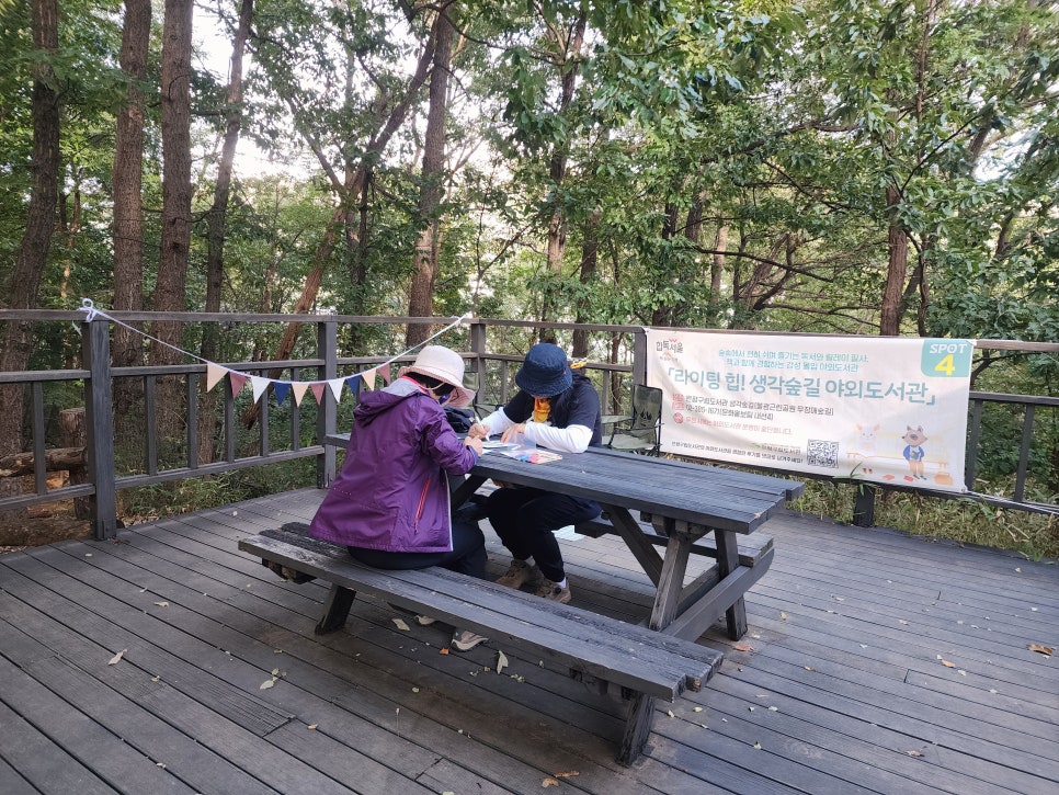 브로콜리 지역정보 관련 사진 14