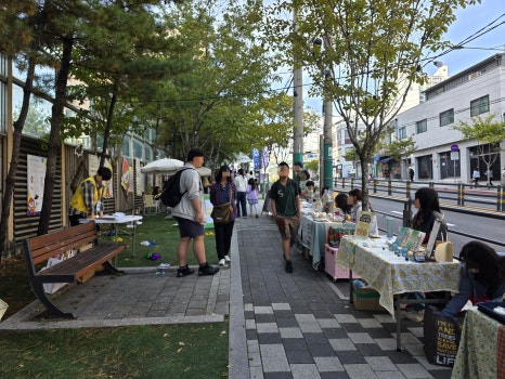 브로콜리 지역정보 관련 사진 16