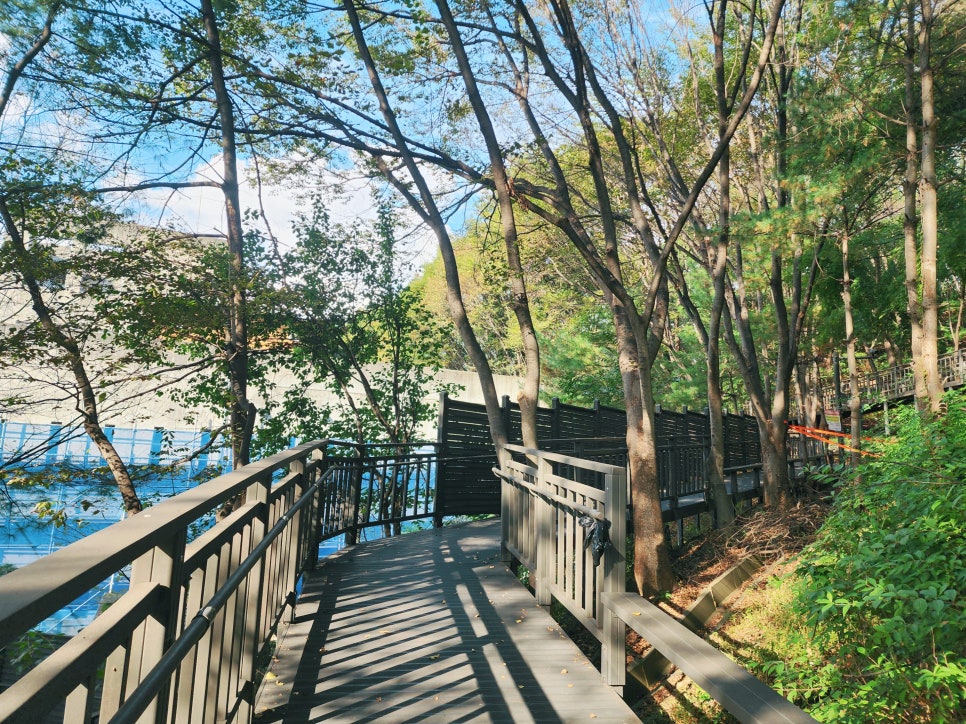 브로콜리 지역정보 관련 사진 4