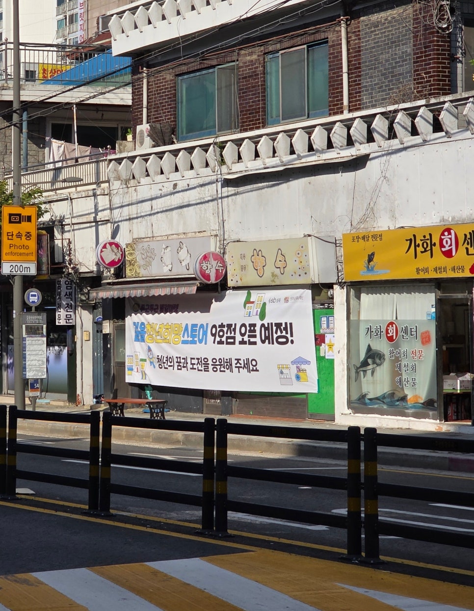 브로콜리 지역정보 관련 사진 18