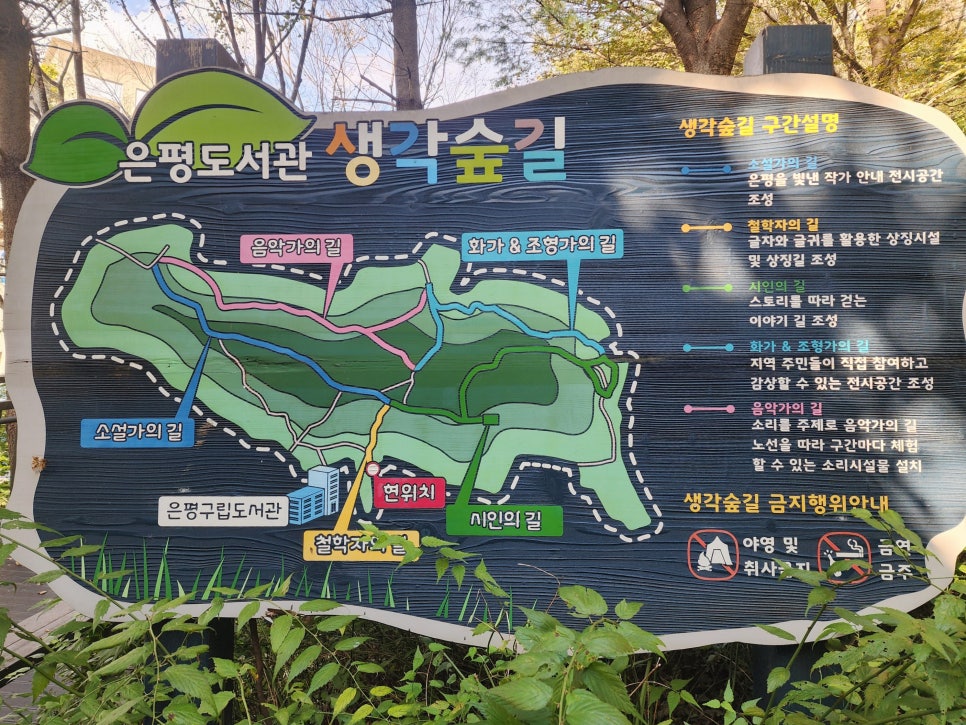 브로콜리 지역정보 관련 사진 3