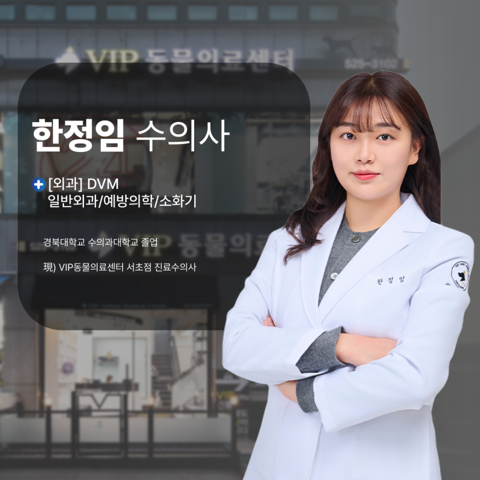 강아지 기관지염 기침 증상, 서초 VIP 동물병원 치료 후기 — 사진 8