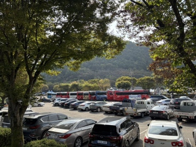 온달문화축제 이미지