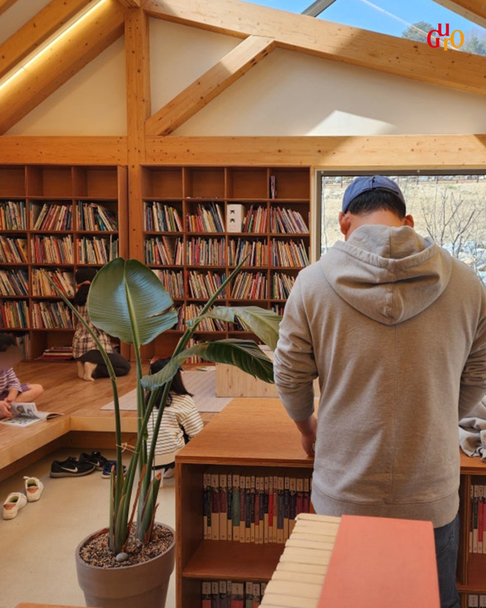 브로콜리 지역정보 관련 사진 4