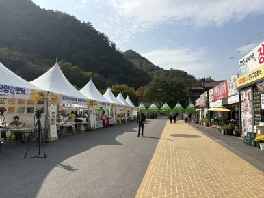 온달문화축제 이미지