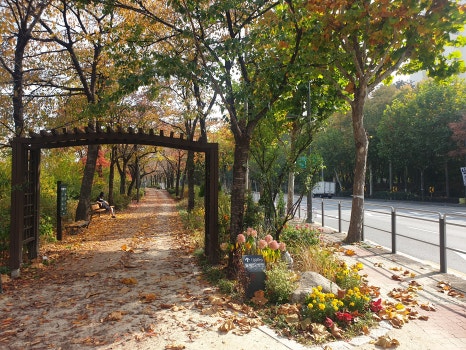 브로콜리 지역정보 관련 사진 4