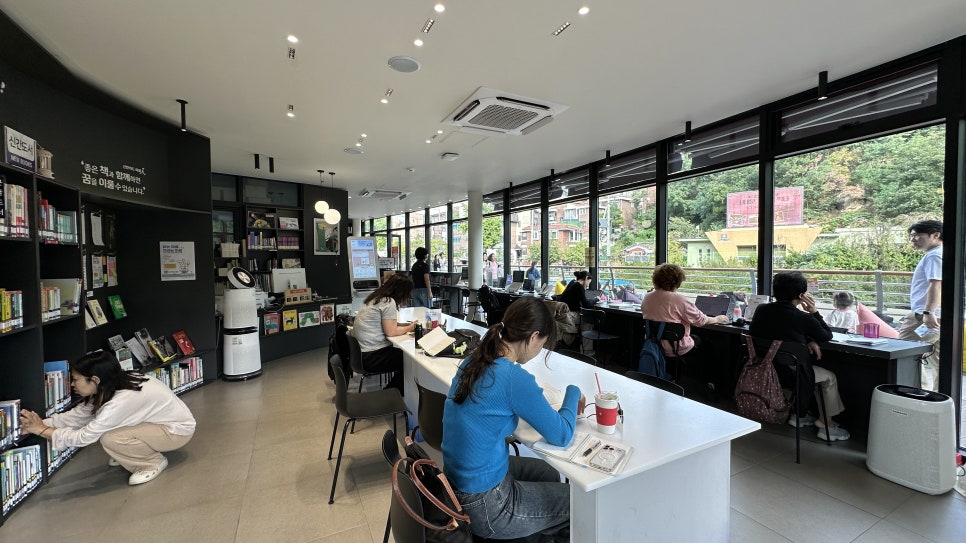 브로콜리 지역정보 관련 사진 2