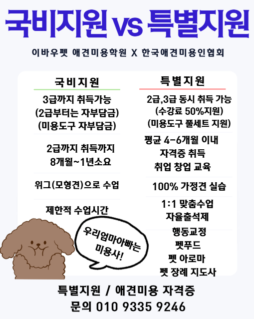 인천 애견미용학원, 수강료 50% 지원받고 전문가 되기 — 사진 6