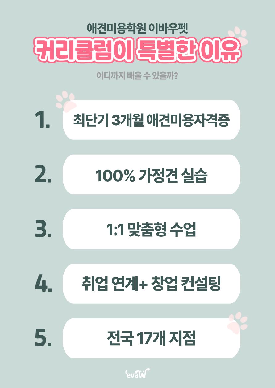 노원 애견미용학원 주말반: 직장인 위한 자격증 취득 과정 — 사진 18